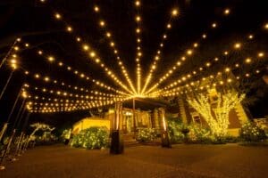 Holiday Lighting Services - Greater Seattle-Bellevue Area